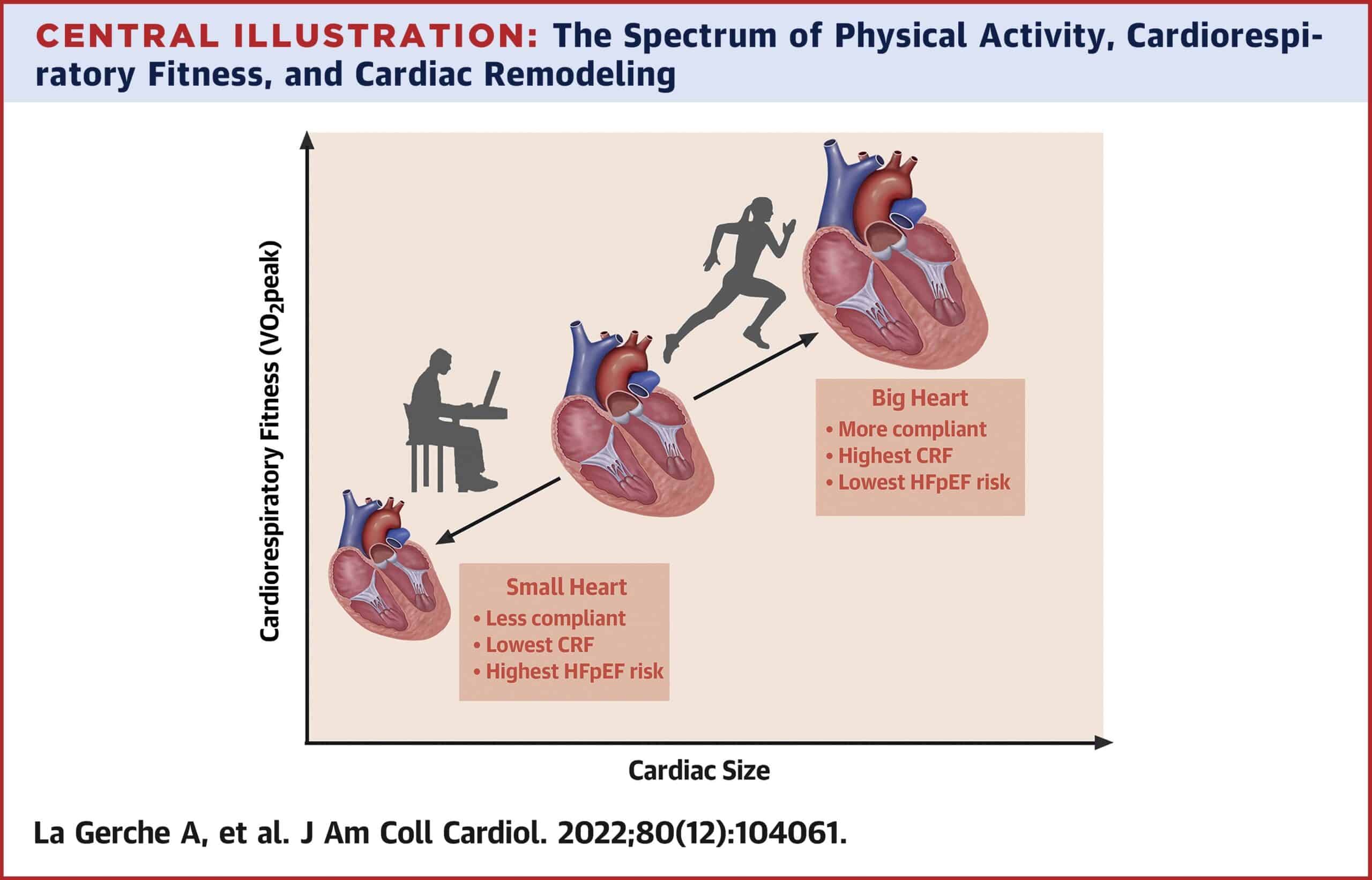 HF and Exercise